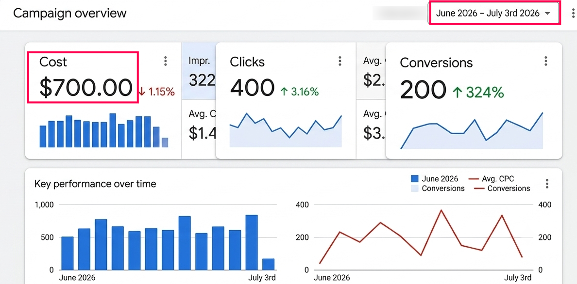 Google Ads results screenshot